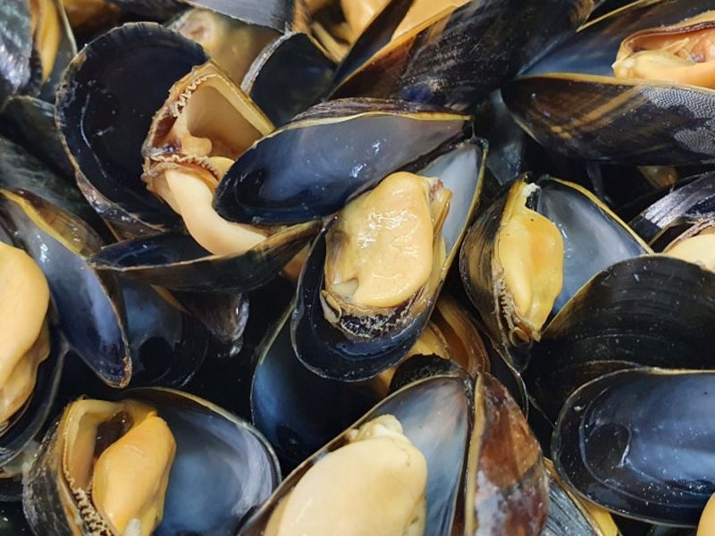 Moules de Bouchot